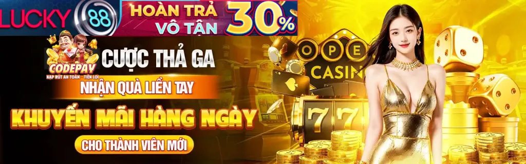 Nhập thông tin tài khoản WinVN